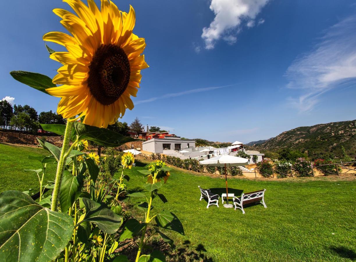 Sa Dom'E Malloru Burcei Exteriér fotografie